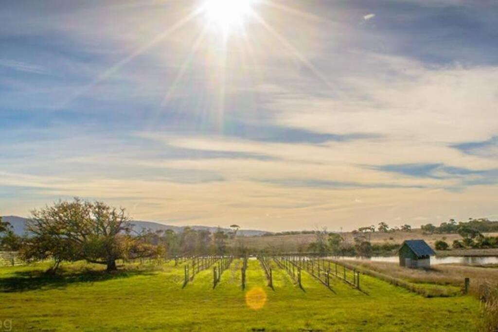 *Newly Relisted* Coach House At Lisdillon Vineyard Villa Little Swanport Exteriör bild